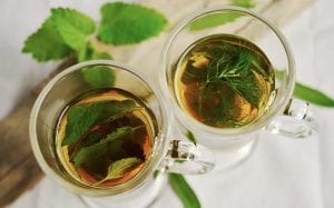 Organo Gold Reviews - drinking natural herb