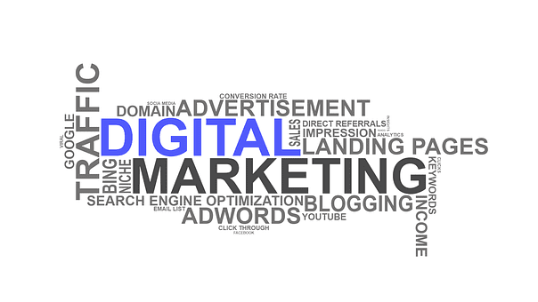 digital marketing - For Starting A New Career At 50