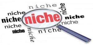 How To Make Money Building Websites - building a niche website