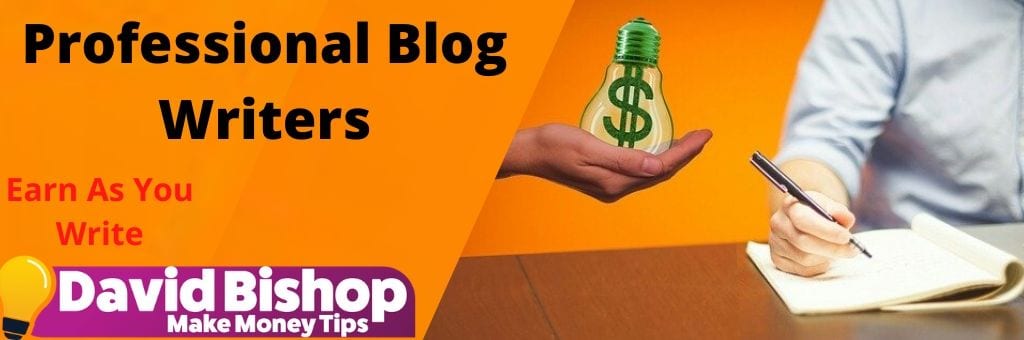 Professional Blog Writers