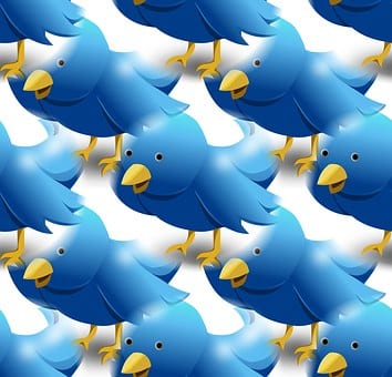 How To Use Twitter To Promote Your Business! - twitter followers