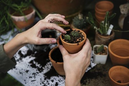 working in my garden to build my gardening blog