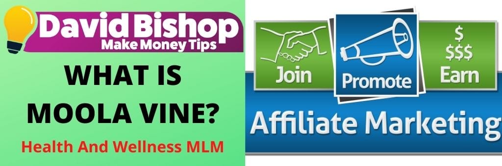 WHAT IS MOOLA VINE
