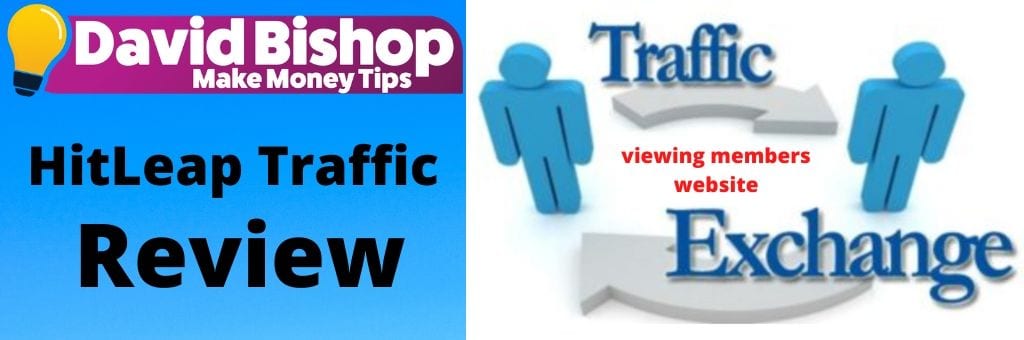 HitLeap Traffic Review