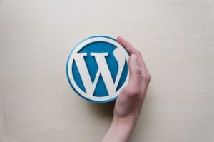 How To Build A Website For A Small Business - building your website on a WordPress Theme