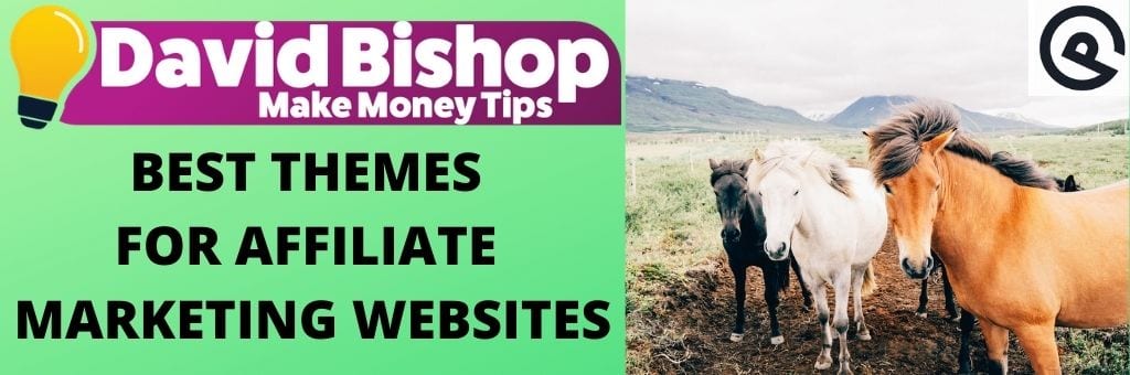 Best Themes For Affiliate Marketing Websites