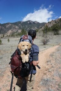 dog products that make your hiking easy