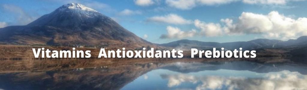 Vitamins Antioxidants Prebiotics