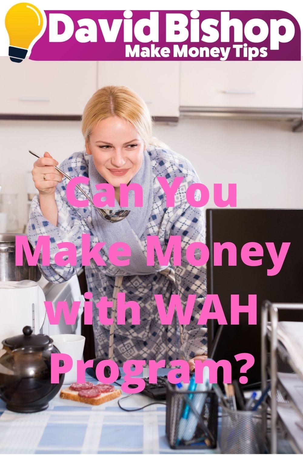 Can You Make Money with WAH Program_