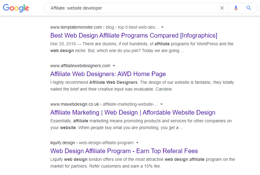 Google search on Affiliate website developer