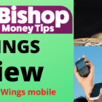 BitWings Review