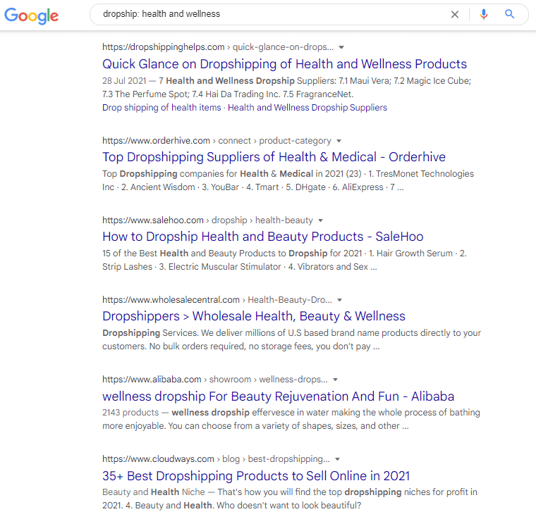 Google search on dropship 