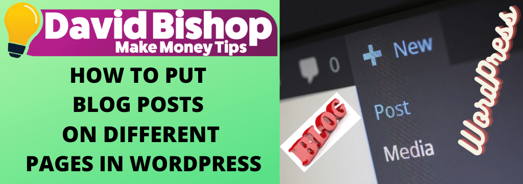 How To Put Blog Posts On Different Pages In WordPress