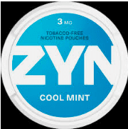 ZynTravel MLM Review