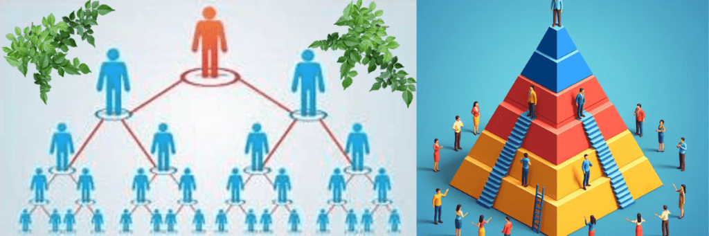 justional International mlm structure